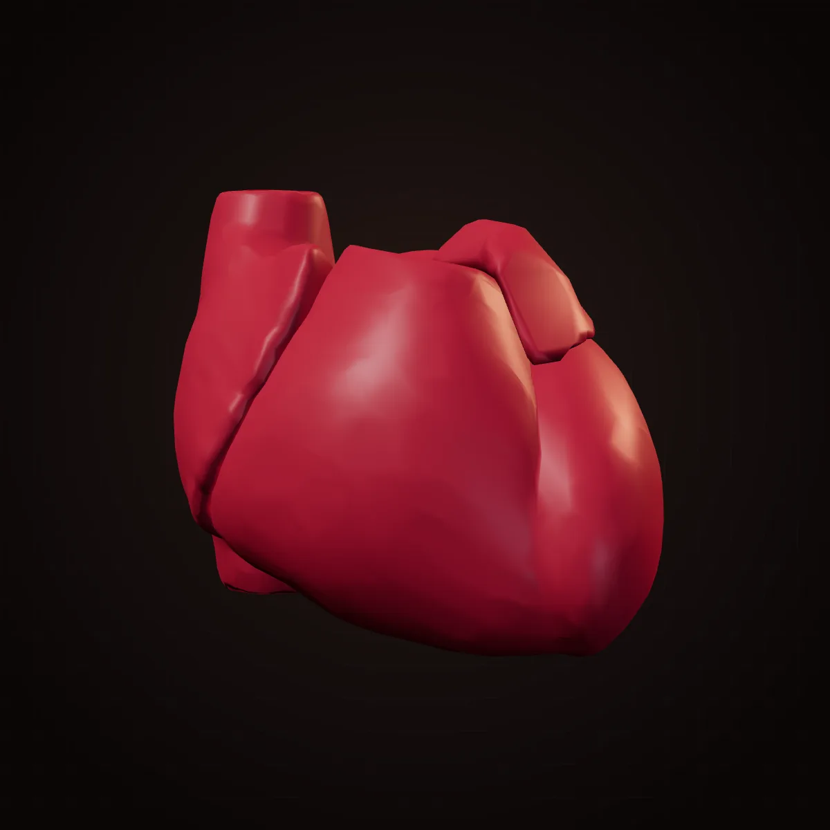 3D model of the human heart showing its chambers and great vessels