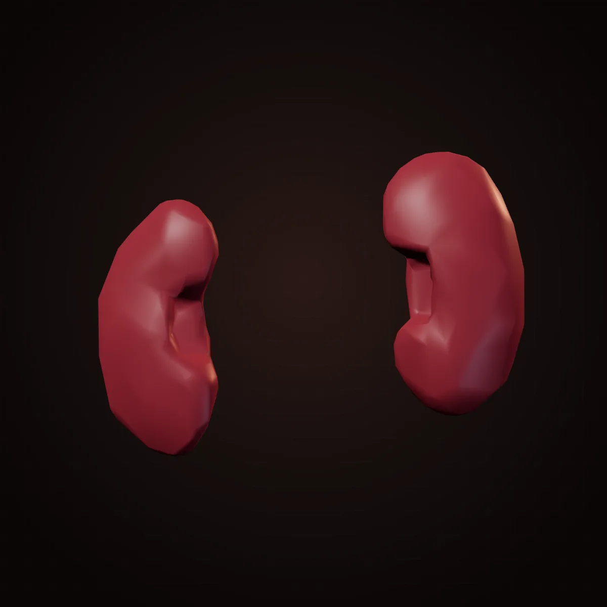 3D model of the two bean-shaped human kidneys