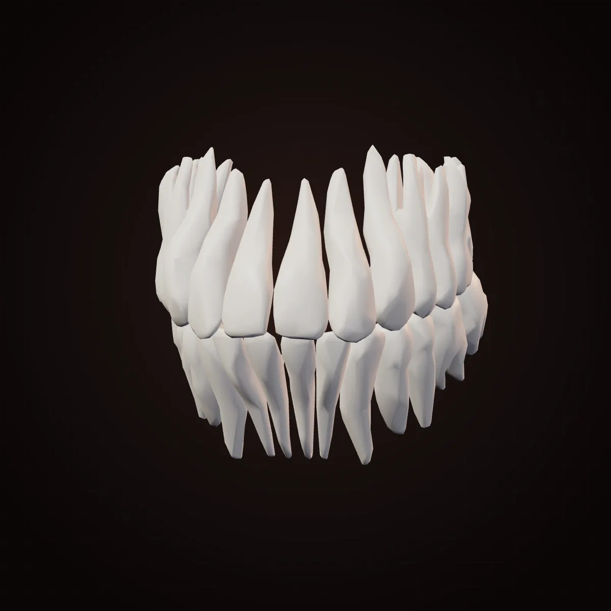 3D model of the adult human teeth: incisors, canines, premolars and molars