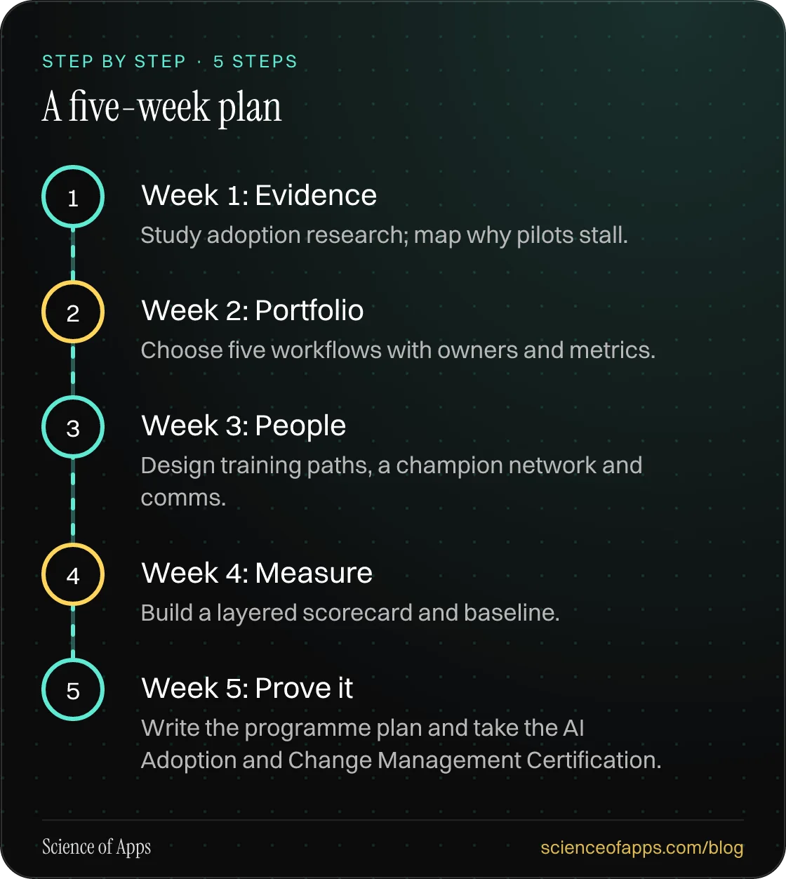 Diagram of 5 steps for a five-week plan: 1. Week 1: Evidence; 2. Week 2: Portfolio; 3. Week 3: People; 4. Week 4: Measure; 5. Week 5: Prove it.