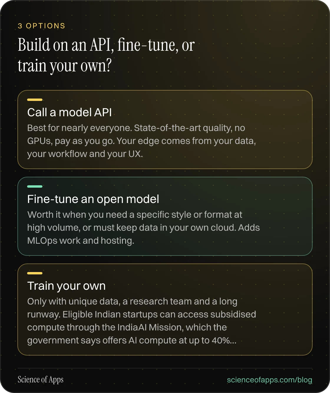 Build on an API, fine-tune, or train your own?: Call a model API; Fine-tune an open model; Train your own.