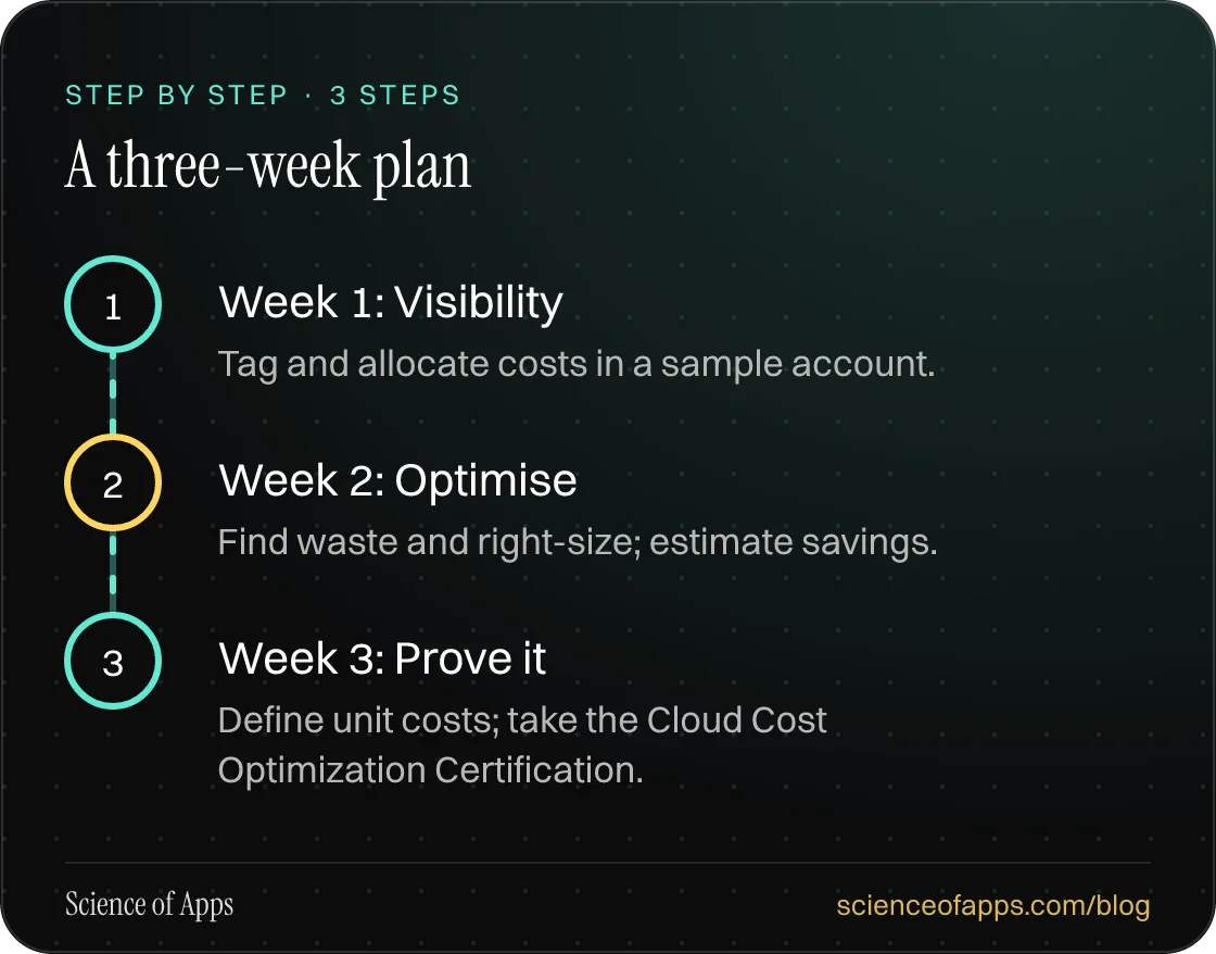 Diagram of 3 steps for a three-week plan: 1. Week 1: Visibility; 2. Week 2: Optimise; 3. Week 3: Prove it.