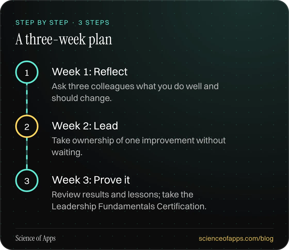 Diagram of 3 steps for a three-week plan: 1. Week 1: Reflect; 2. Week 2: Lead; 3. Week 3: Prove it.