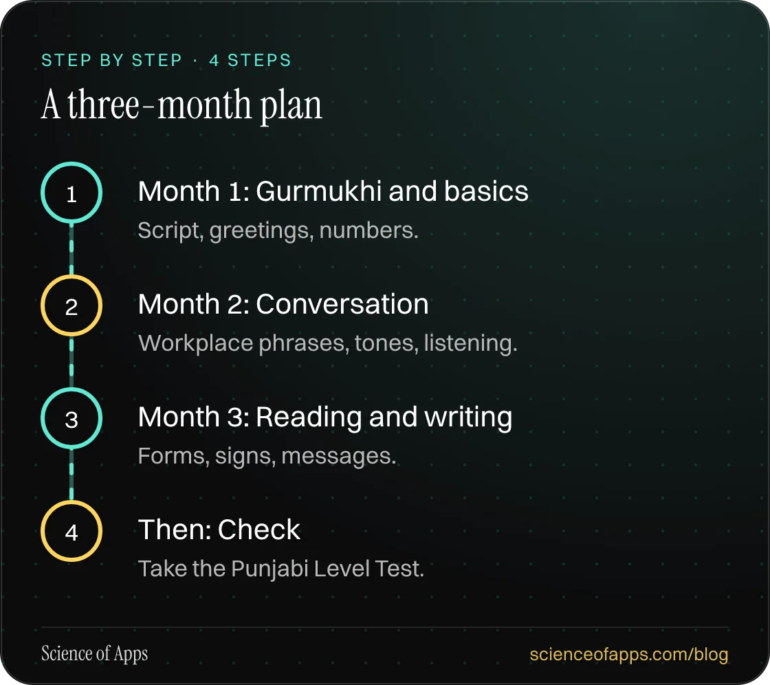 Diagram of 4 steps for a three-month plan: 1. Month 1: Gurmukhi and basics; 2. Month 2: Conversation; 3. Month 3: Reading and writing; 4. Then: Check.