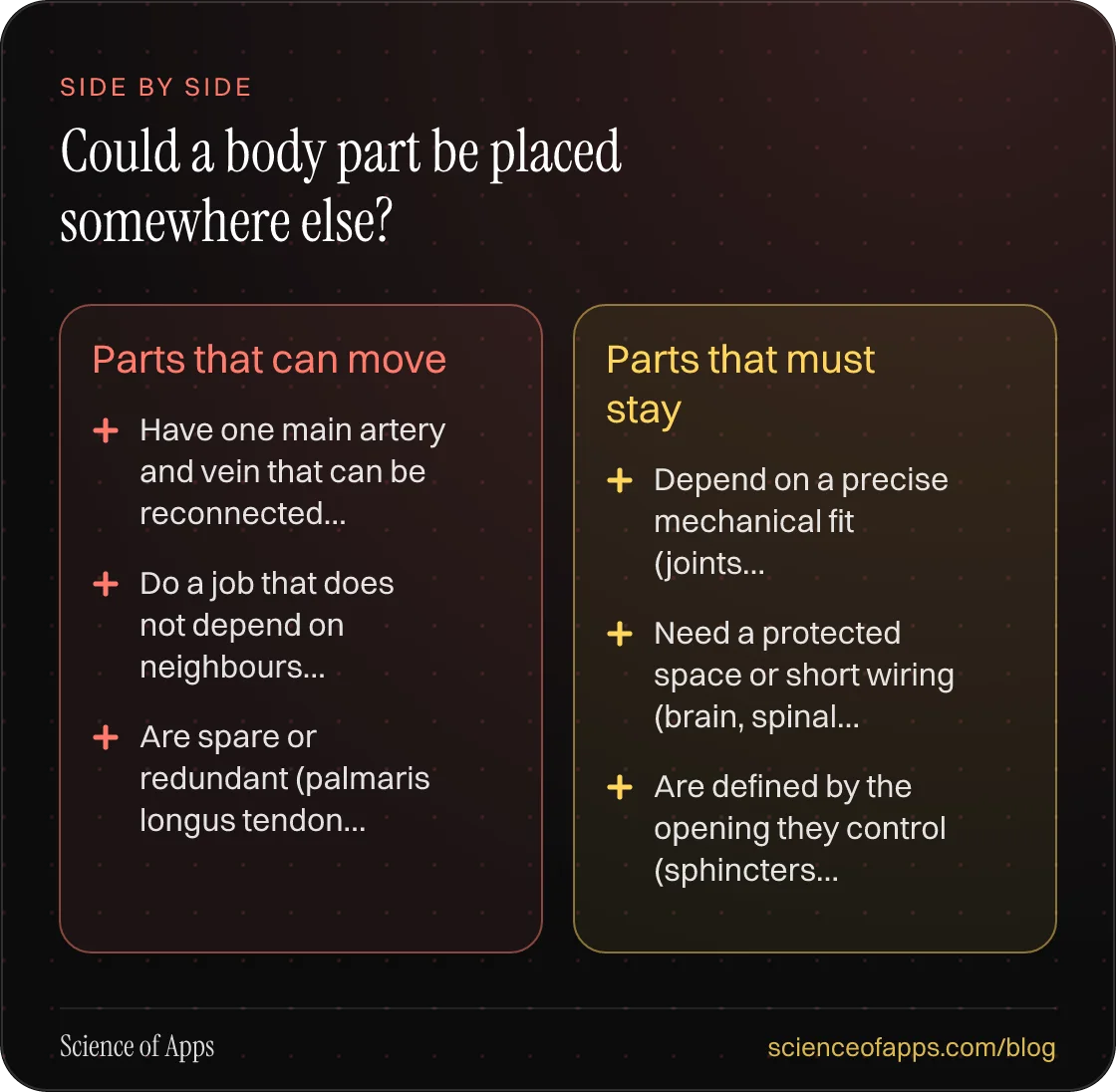 Comparison — Parts that can move: Have one main artery and vein that can be reconnected (kidney, toe, fibula, muscle flaps); Do a job that does not depend on neighbours (hormone glands, islets, fat, skin); Are spare or redundant (palmaris longus tendon, a length of fibula, a saphenous vein). Parts t
